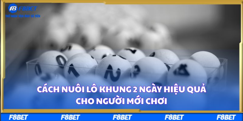 Cách nuôi Lô khung 2 ngày hiệu quả cho người mới chơi