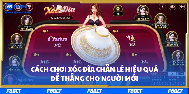 Cách Chơi Xóc Đĩa Chẵn Lẻ Hiệu Quả Dễ Thắng Cho Người Mới